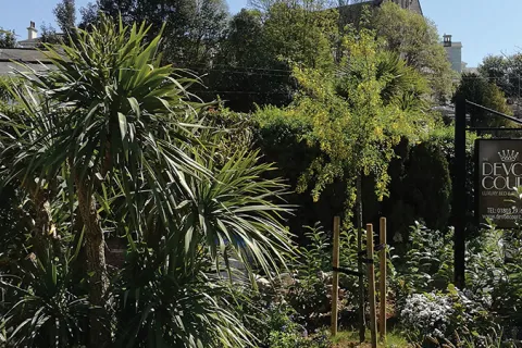 RevGallery_ImgGallery17